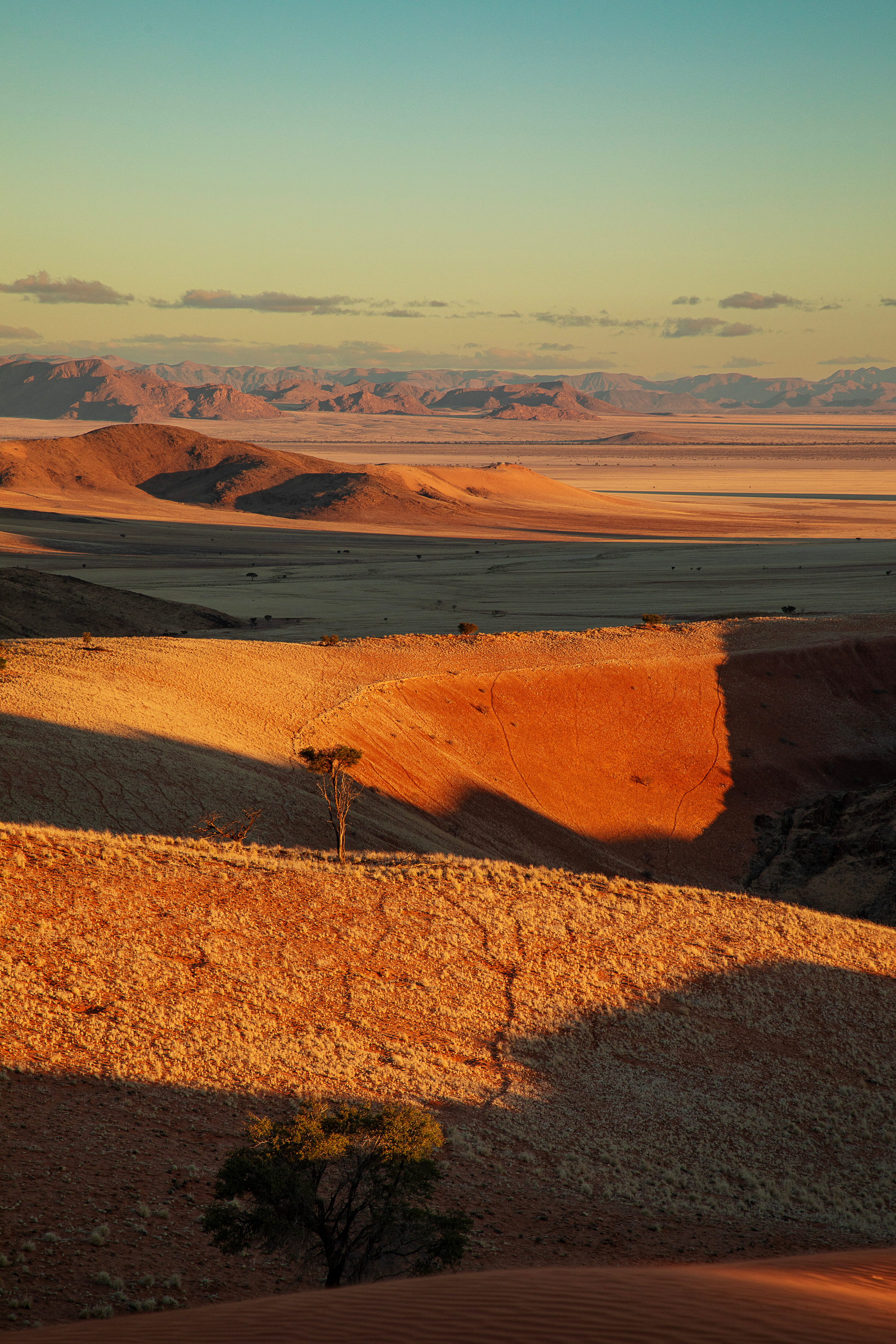 Lodge dwelling at dusk, Namib quartz plain
