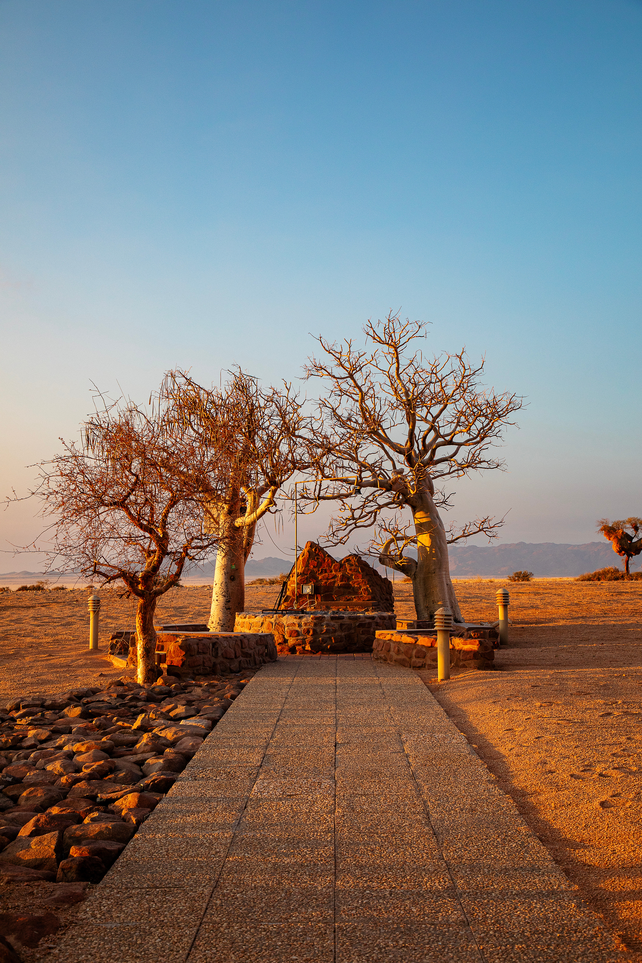 Lodge sundowner deck, dune horizon